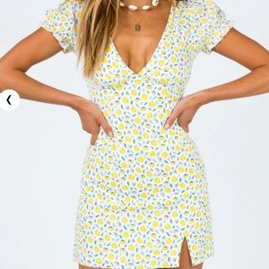 Princess Polly Dress